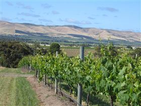 Possingham And Summers Cellar Door - Accommodation Directory 3