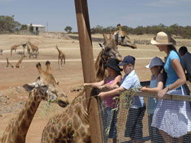 Monarto South SA Accommodation Directory