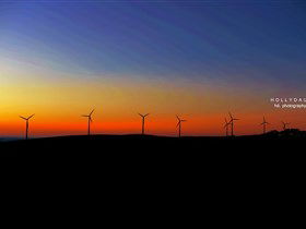 Cape Jervis SA Accommodation Directory