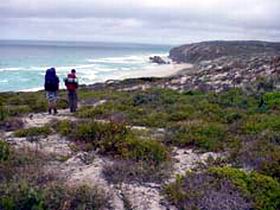 Murray Lagoon - Cape Gantheaume Conservation Park - Accommodation Directory 0