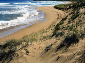  Accommodation Directory
