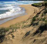 Newland Head Conservation Park - Accommodation Directory