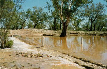 Charleville - Ward River Fishing Spot - Accommodation Directory 2