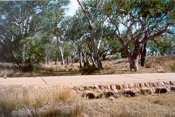 Charleville - Ward River Fishing Spot - Accommodation Directory 1
