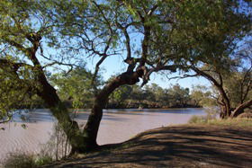 Charleville - Bakers Bend Warrego River Fishing Spot - Accommodation Directory 1