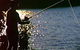 Charleville - 27 Mile Warrego River Fishing Spot - thumb 2