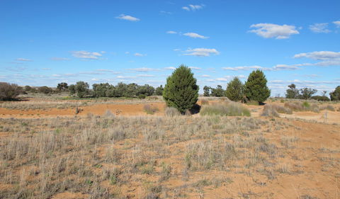Zanci Pastoral Loop - Accommodation Directory 3