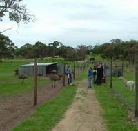 Avenue Emus - Accommodation Directory