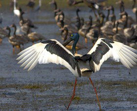 Nature's Way - Accommodation Directory 1