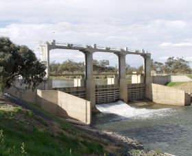 One Tree NSW Accommodation Directory