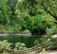 Broadwater Abergowrie State Forest - Accommodation Directory