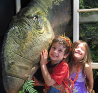 Australian Opal Centre - Accommodation Directory