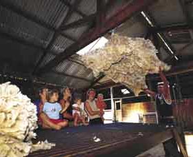 Shear Outback The Australian Shearers Hall Of Fame - Accommodation Directory 0
