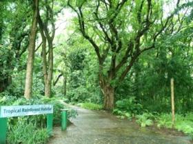 Townsville Palmetum - Accommodation Directory 1