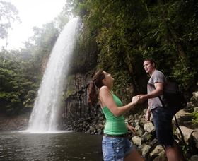 Millaa Millaa Falls - Accommodation Directory 0