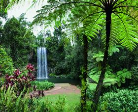 Millaa Millaa Falls - Accommodation Directory 2