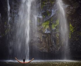 Ellinjaa Falls - Accommodation Directory 0