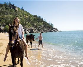 Horseshoe Bay - Accommodation Directory 1