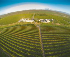 Golden Drop Winery - Accommodation Directory 0
