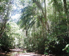 Mount Lewis National Park - Accommodation Directory 0