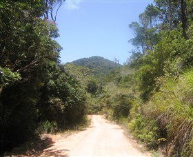 Mount Lewis National Park - Accommodation Directory 2