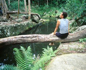 Barron Gorge National Park - Accommodation Directory 1