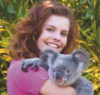 Kuranda Koala Gardens - Accommodation Directory