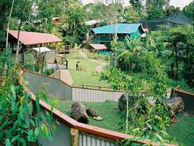 Kuranda Koala Gardens - Accommodation Directory 1