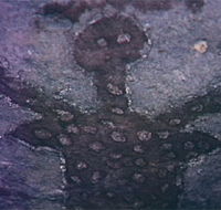 Quinkan Reserves Ancient Rock Art - Accommodation Directory