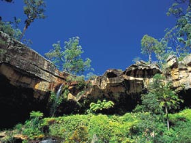 Blackdown Tableland National Park - Accommodation Directory 1