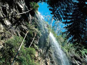 Blackdown Tableland National Park - Accommodation Directory 2