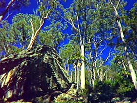 Blackdown Tableland National Park - Accommodation Directory 3