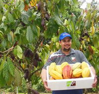 Sweet Farm Tours - Accommodation Directory