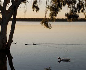 Lake Elphinstone - Accommodation Directory 2