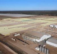 Southern Cotton Gin - Accommodation Directory