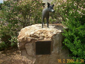 Dingo Statue - Accommodation Directory 0