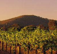 Taltarni Vineyards - Accommodation Directory