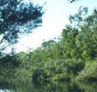 Crawford River Regional Park - Accommodation Directory