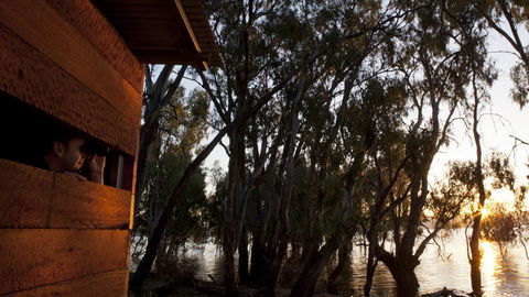 Murray Valley National Park - Accommodation Directory 1
