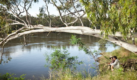 Murray Valley National Park - Accommodation Directory 0
