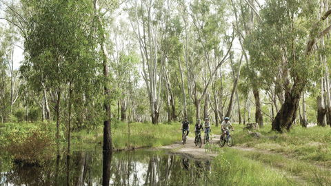 Murray Valley National Park - Accommodation Directory 3