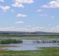 Fivebough Wetlands - Accommodation Directory