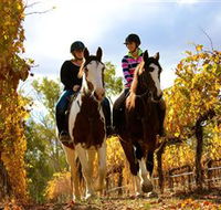 Billabong Ranch - Accommodation Directory