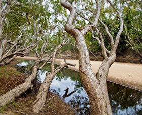 Oyala Thumotang National Park (CYPAL) - Accommodation Directory 0