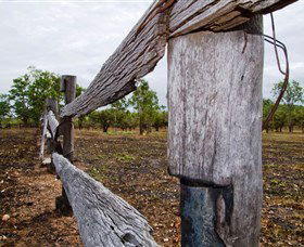 Oyala Thumotang National Park (CYPAL) - Accommodation Directory 1