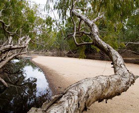 Oyala Thumotang National Park (CYPAL) - Accommodation Directory 3