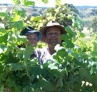 Wimmera Hills Winery - Accommodation Directory