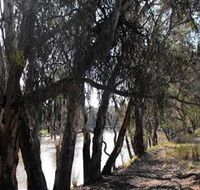 Mia Forest Drives Narrandera - Accommodation Directory