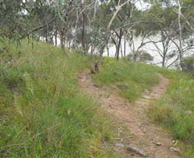 Bundidgerry Walking Track - Accommodation Directory 1