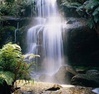 Mount Buangor State Park - Accommodation Directory